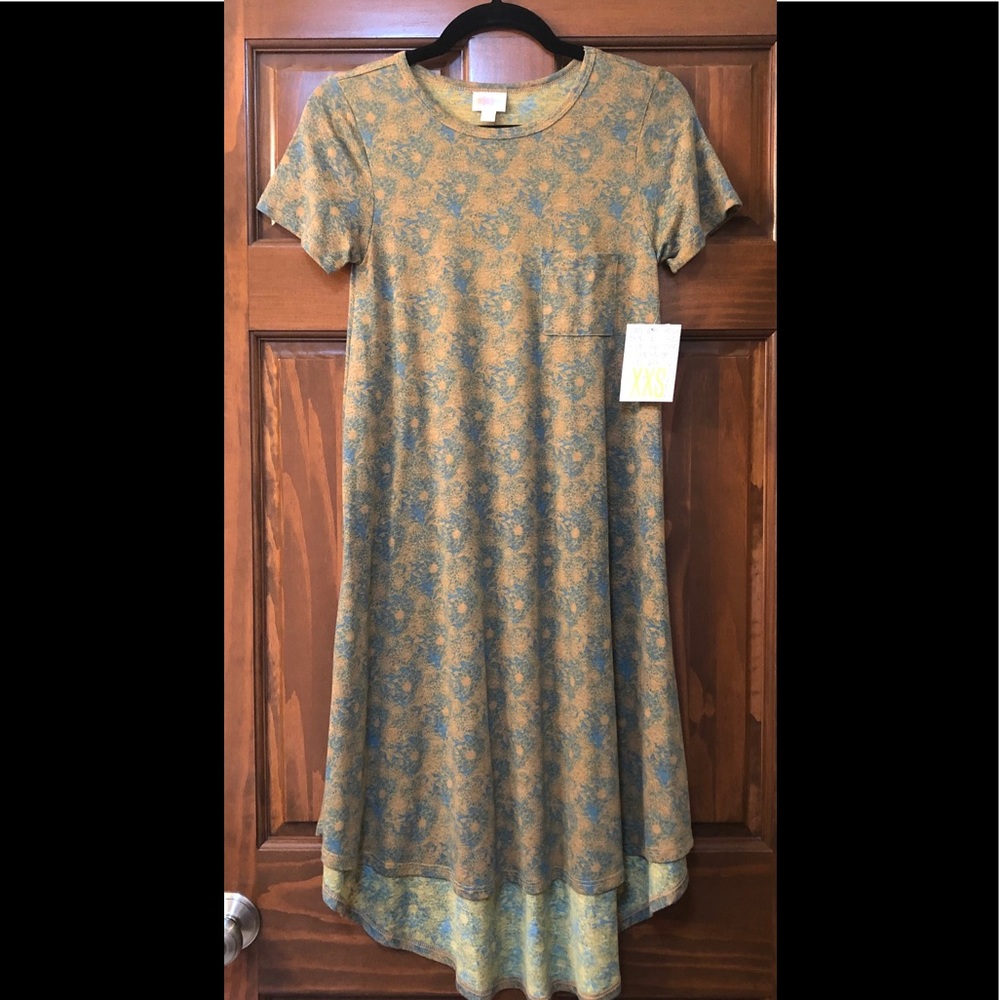 NWT LuLaRoe Carly T-shirt Dress